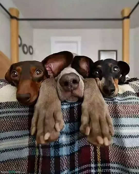 We Are Sleeeepy