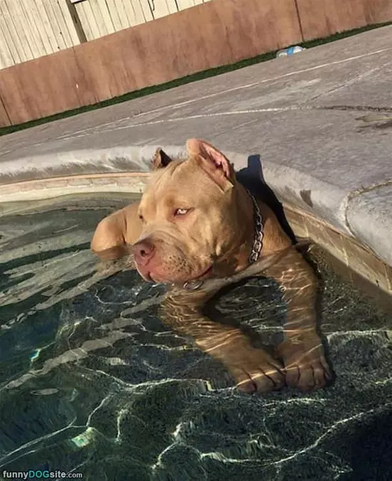 This Is Very Relaxing