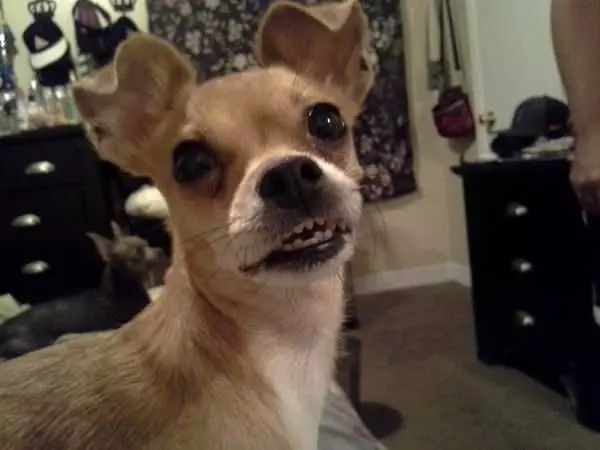 My Funky Smile
