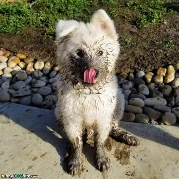 A Little Muddy