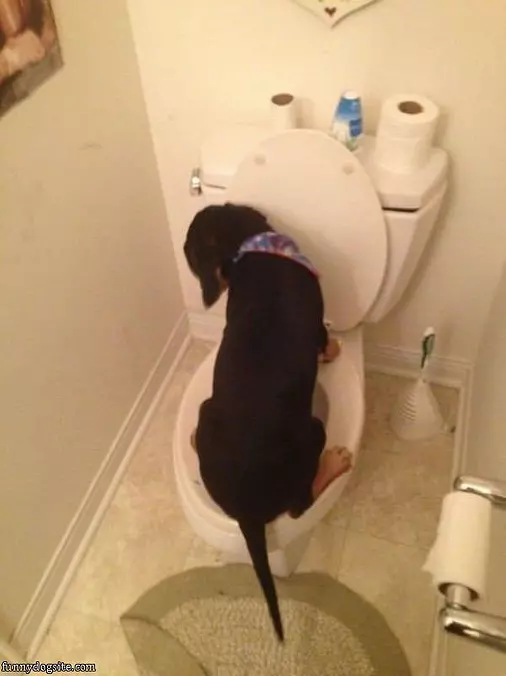 Where I Pee