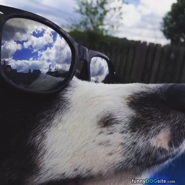 Big World Out There