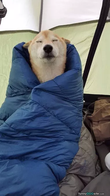 Curled Up