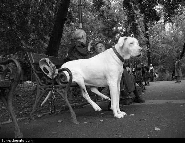 Sitting On The Bench