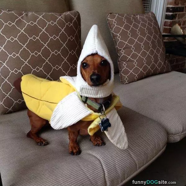Im A Banana