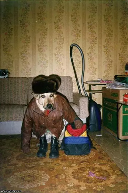 Ready For Work
