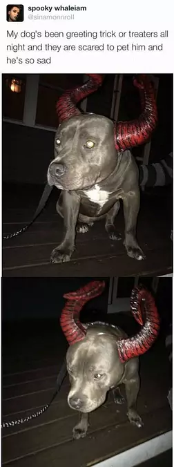 Greeting Trick Or Treaters