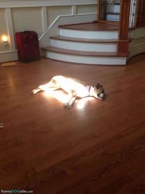 Found The Sunny Spot
