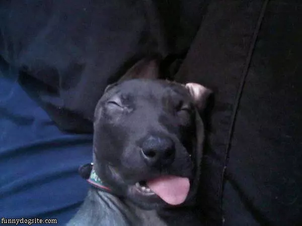 Sleep How I Want