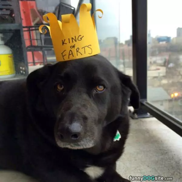 The King