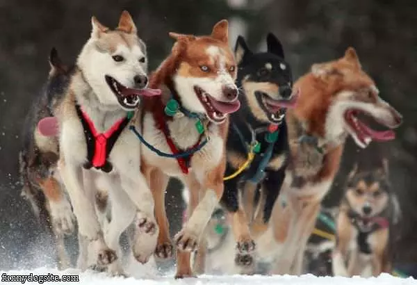 Running All Together