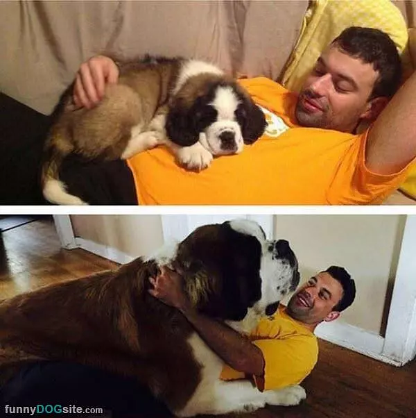 The Before And After Picture