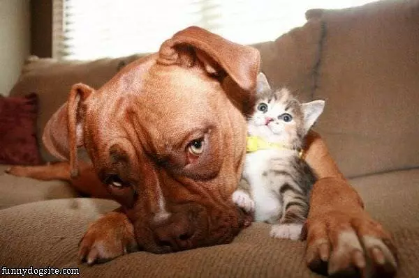We Are Friends