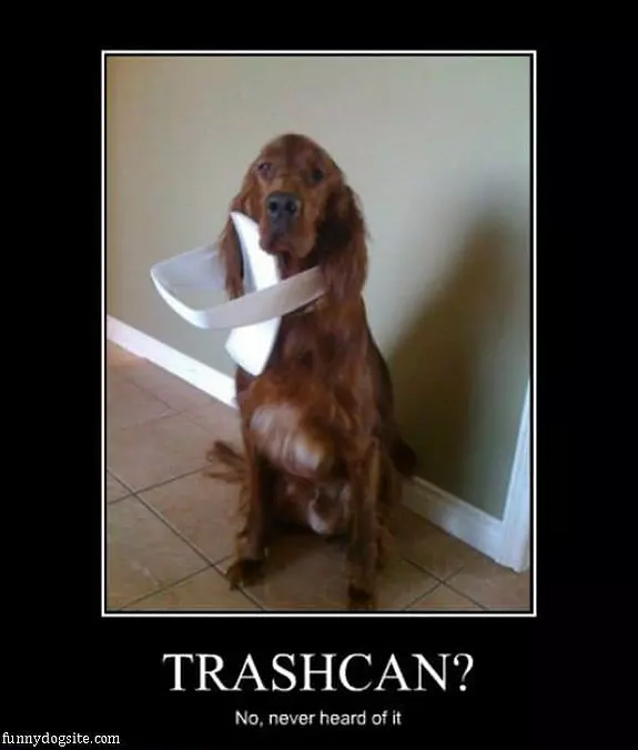Trashcan