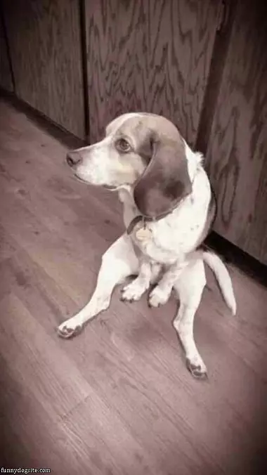 I Sit How I Want