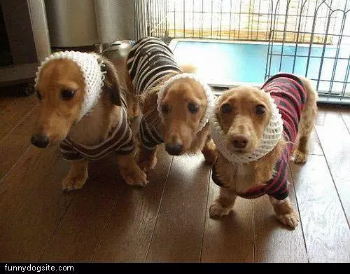 Triplets