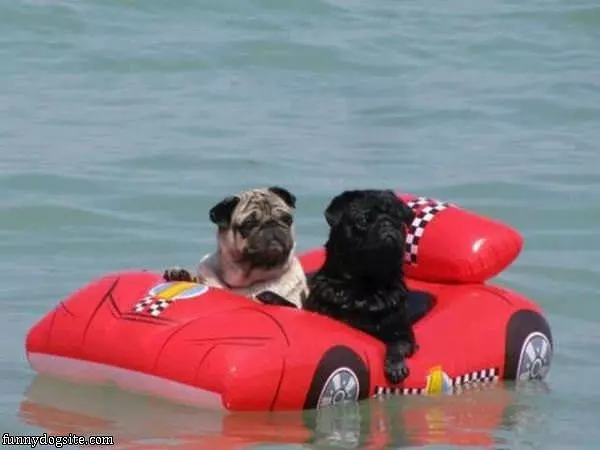 Get Us Out Please