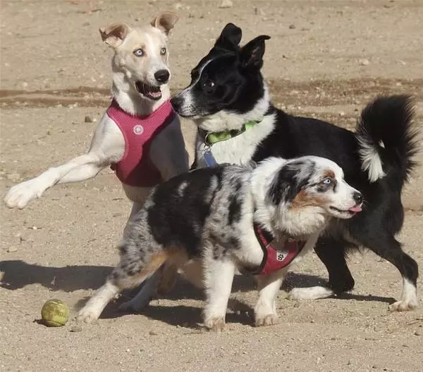 Playing Some Soccer