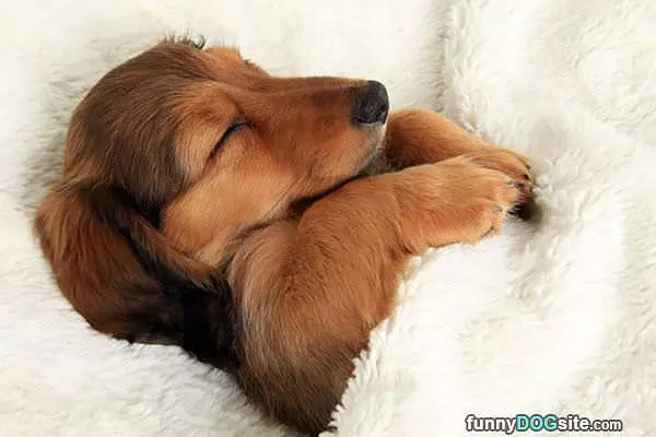 Dreaming Of Awesome