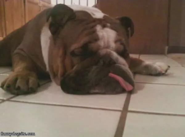 Sleep How I Want