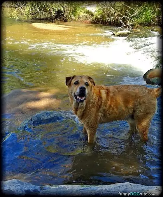 Going For A Fun Little Swim