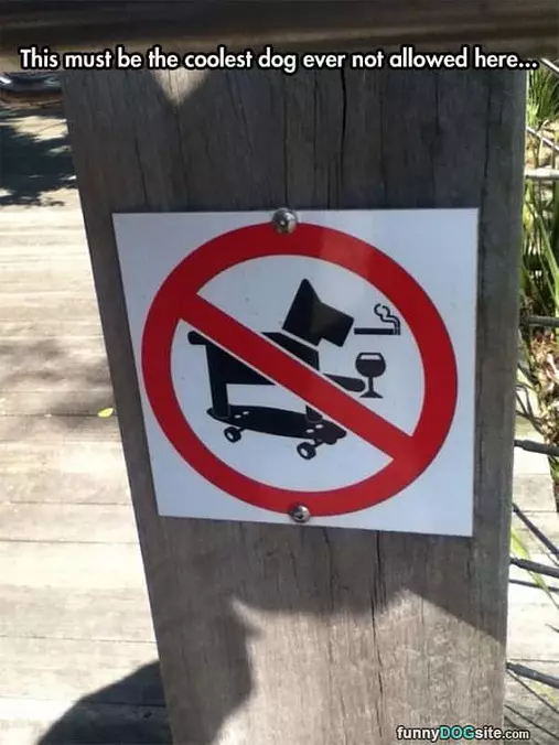 None Of That Here