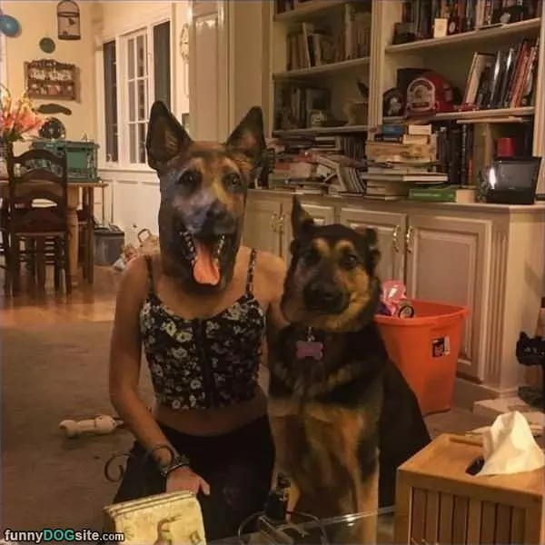 Me And My Buddy