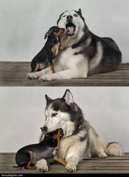 Fair Fight