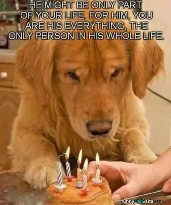 Part Of Your Life