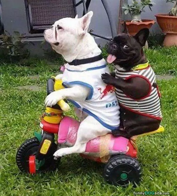 Cruising Together