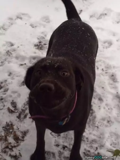 Big Smile