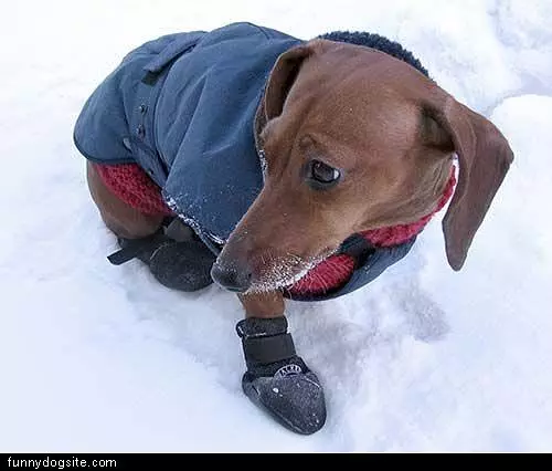 Nice Boots