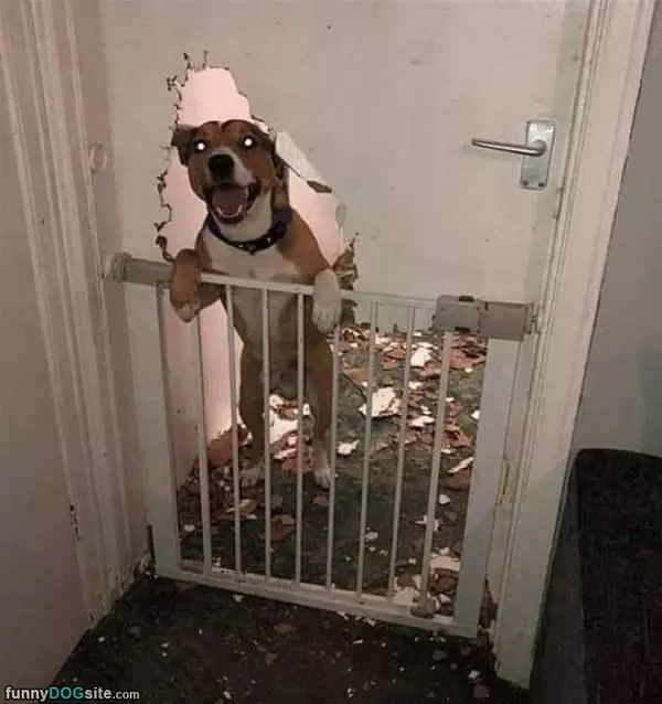 Hi Guys