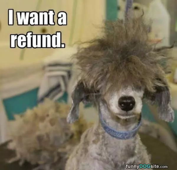 I Want A Refund