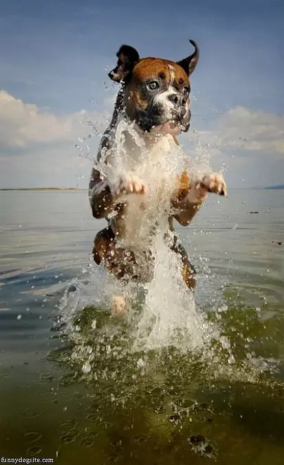 Rawrrrr