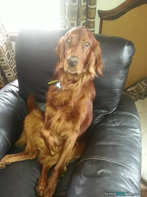 This Is My Chair
