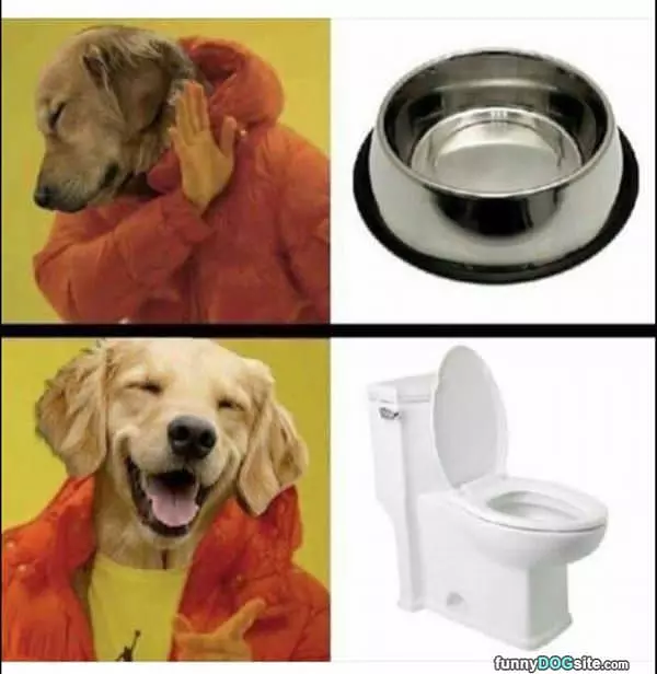 Where I Want To Drink From
