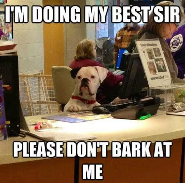 Doing My Best