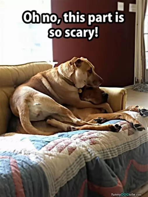 This Is The Scary Part
