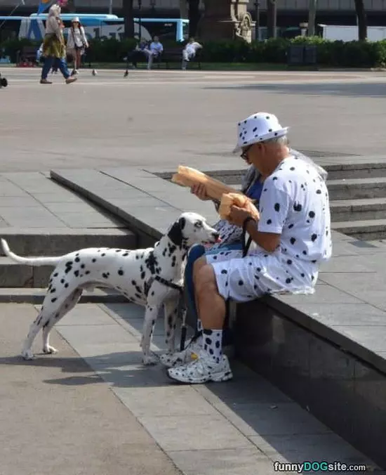Just Like My Dog