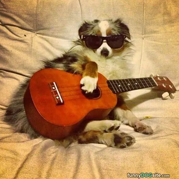 Let Me Play You A Tune