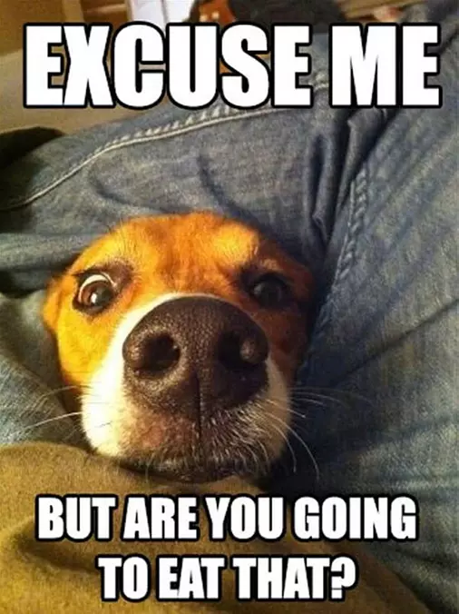 Excuse Me Sir