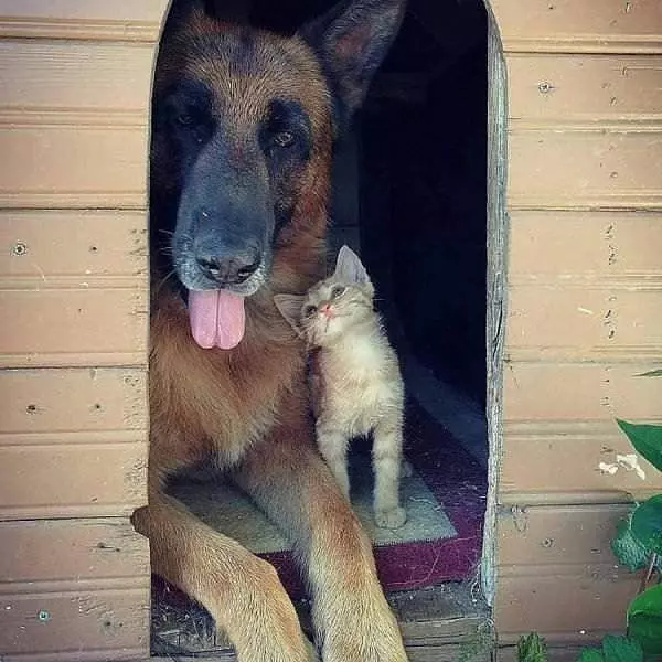 We Love Each Other