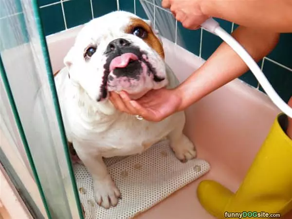 I Love Bath Time