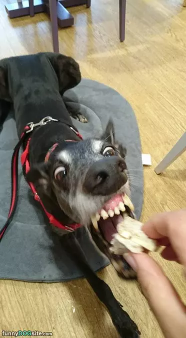 I Wants This Snack
