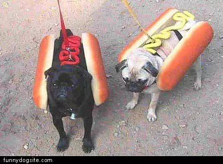 Hot Dogs
