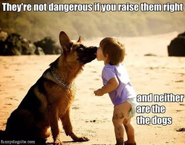 Not Dangerous