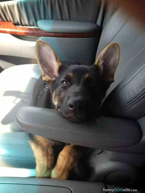 Sitting Here Watching You