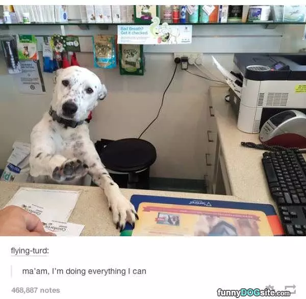 Maam Please Calm Down