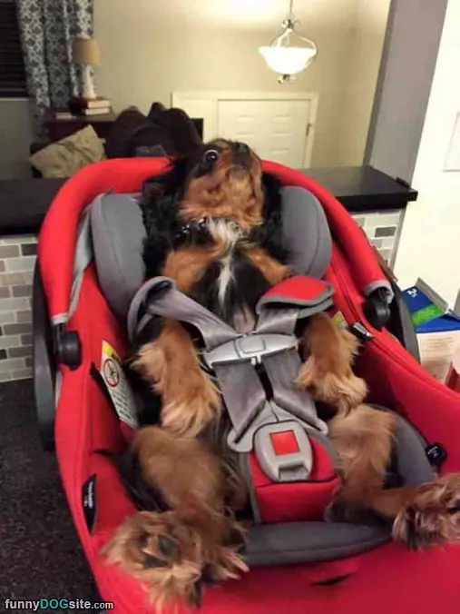 Safety First